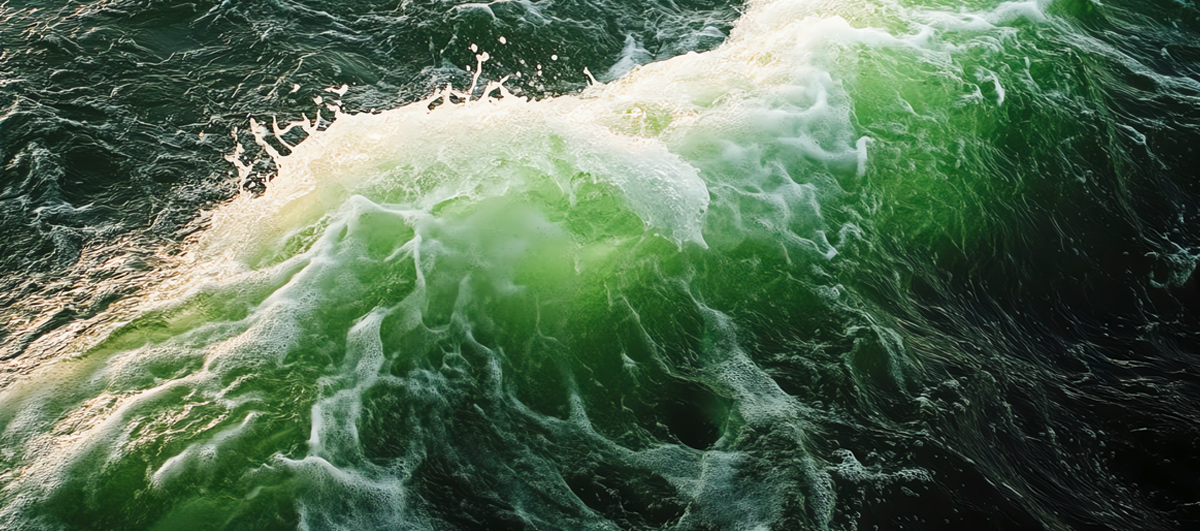 Gründung von Gesellschaften